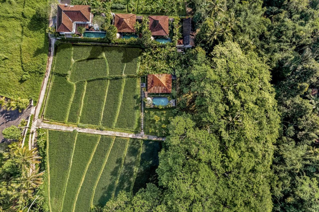 Ratni Ubud Villa ภายนอก รูปภาพ